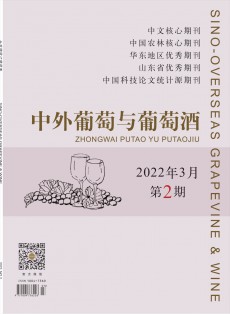 中外葡萄與葡萄酒