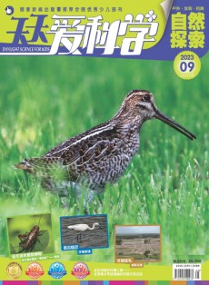 天天愛科學(xué)