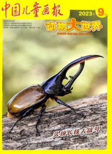 動(dòng)物大世界